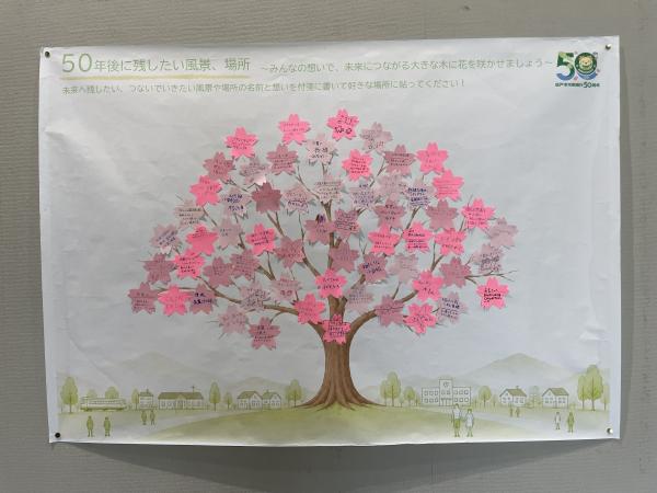 桜の木の展示