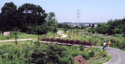 高麗川ふるさと遊歩道の写真