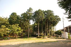 雲ヶ谷公園の画像