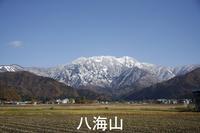 八海山