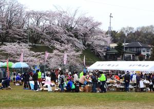 西坂戸桜まつり写真