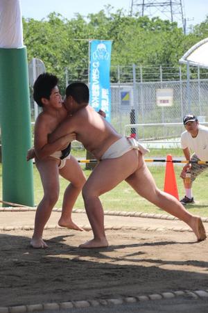 わんぱく相撲大会の写真