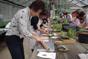 花と緑の講習会の写真