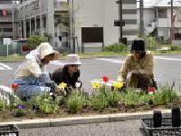 いずみ花の会活動写真1