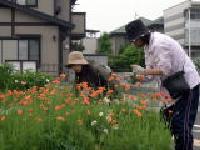 いずみ花の会活動写真2