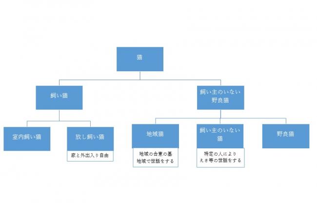 猫の区分