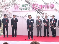 桜まつり1
