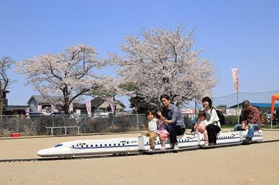城山桜まつり