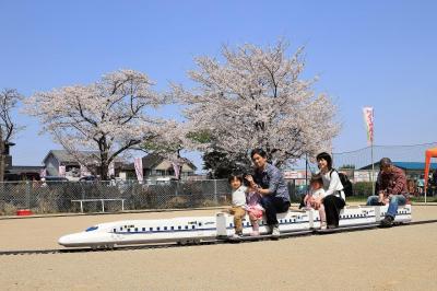 城山桜まつり