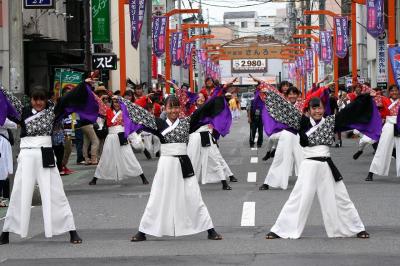 夏よさこい