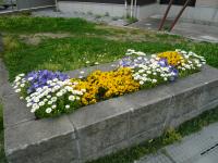 北坂戸かけはし公園花壇の写真