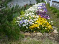 善能寺小山境花壇の写真