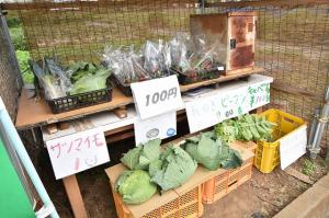 野菜の無人販売所