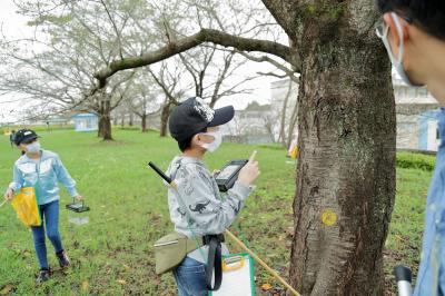 秋の昆虫ウォッチング