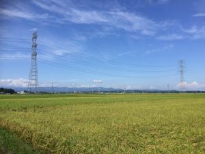 赤尾の田園風景