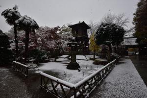 紅葉と初雪