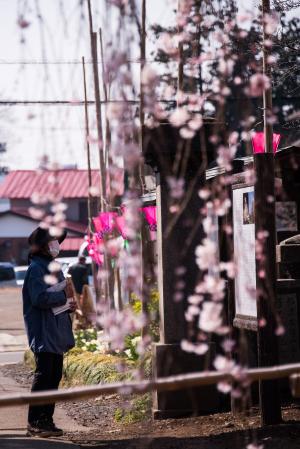 寺巡り