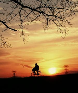 夕焼けの遊歩道