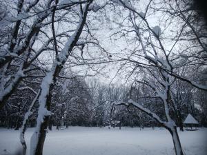 大雪