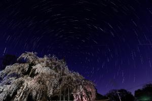 ​慈眼寺夜桜