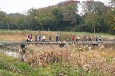 城山公民館健康ウォーキング