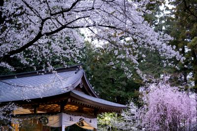最優秀賞　春祭りの日