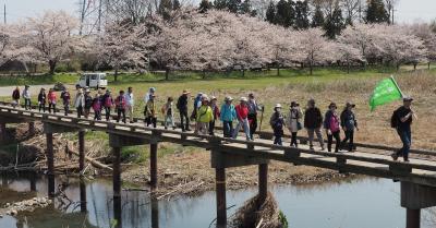 城山桜ウォーキング